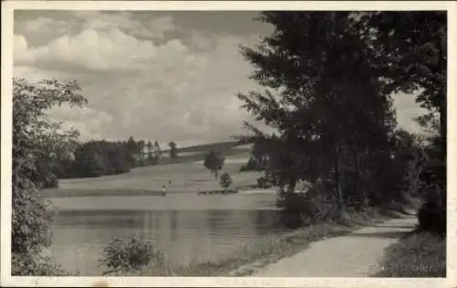 Ak Dippoldiswalde im Erzgebirge, Schöne Landschaft, Wasserfläche, Bäume, ein Weg