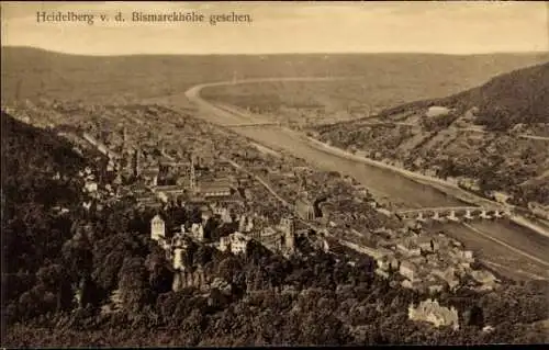 Ak Heidelberg am Neckar, Panoramablick auf  Neckarfluss, Bismarckhöhe