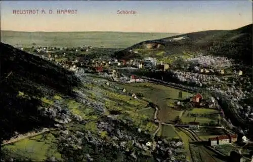 Ak Neustadt an der Haardt Neustadt an der Weinstraße , Landschaftsdarstellung, Stadtansicht, Schö