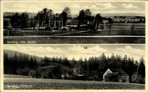 Ak Sornßig Hochkirch in Sachsen,  Alte Mühle, Forsterei, Landschaft, Bäume
