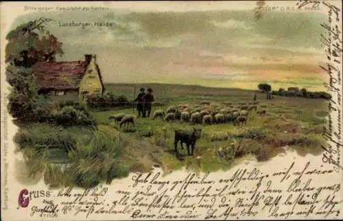 Halt gegen das Licht Litho Lüneburger Heide, Schafherde