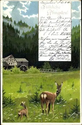 Künstler Litho Mailick, Reh mit Kitz, Wassermühle