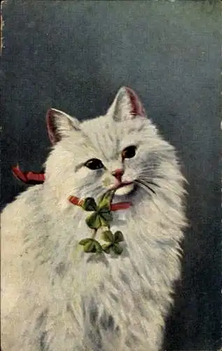 Ak Weiße Katze, Glücksklee, Tierporträt