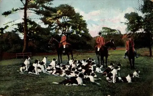 Ak Jagdszene, Reiter auf Pferden, Jagdhunde