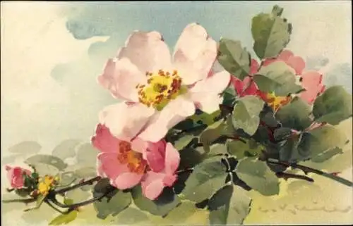 Künstler Litho Klein, Catharina, Blüten