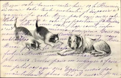 Künstler Ak Jagdhund, Katzen