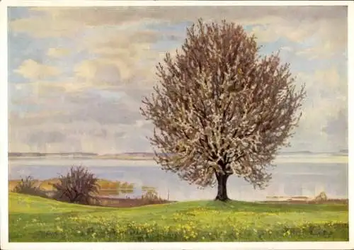 Künstler Ak Sieck, Rudolf, Blühender Baum