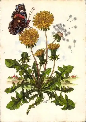 Künstler Ak Kallista, Edi, Löwenzahn