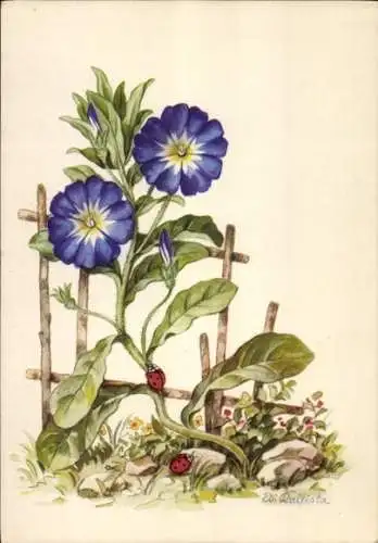 Künstler Ak Kallista, Edi, Blumen am Gartenzaun