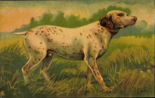 Künstler Ak Norfini, Hund