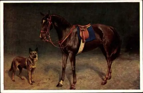 Ak Hund steht neben einem Pferd, Sattel, Zaumzeug
