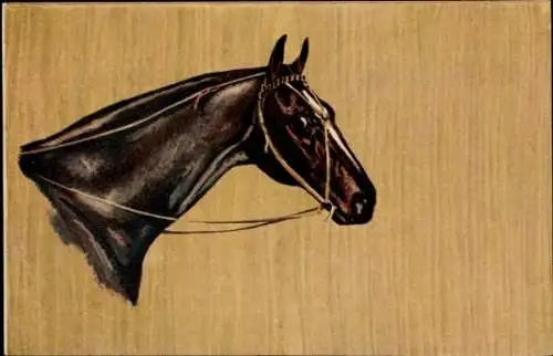Künstler Ak Pferd, Pferdekopf