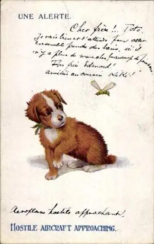 Ak Brauner Hund und Biene