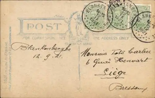 Ak Brauner Hund und Biene