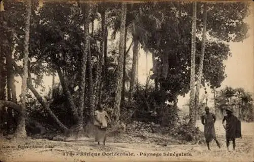 Ak Dakar, Senegal, senegalesische Landschaft