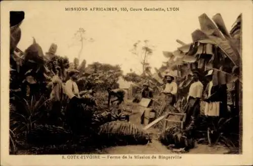 CPA Côte d'Ivoire, Ferme de la Mission Bingerville