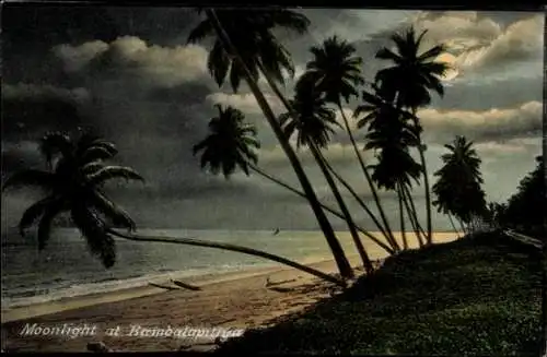Ak Bambalapitiya Colombo Sri Lanka, Moonlight at  Palmen, Strand, Nacht