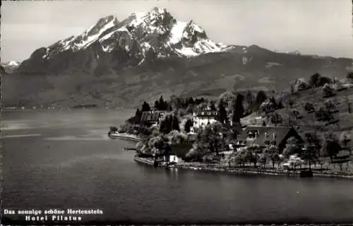 Ak Hertenstein Weggis Kanton Luzern, Schöne Aussicht auf  Hotel Pilatus, Berge, See