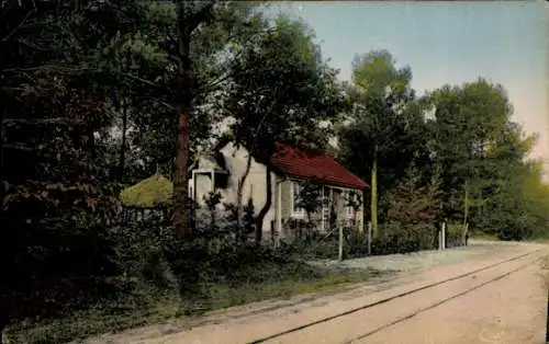 CPA Saint Brévin les Pins Loire Atlantique, Avenue dans les bois