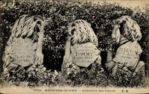 Ak Asnières sur Seine Hauts-de-Seine, Clichy, Cimetiere des Chiens