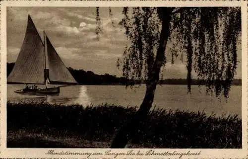 Ak Berlin Köpenick, Restaurant Schmetterlingshorst am Langen See, Abendstimmung, Segelboot