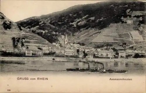 Ak Assmannshausen Rüdesheim am Rhein, Waldige Hügel, Rheinblick, Weinberge, Dampfer, Ortsansicht