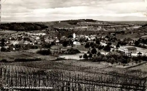Ak Bischoffingen Vogtsburg im Kaiserstuhl, Panorama