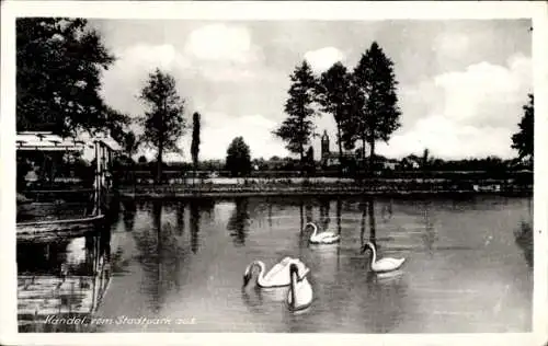 Ak Kandel in der Pfalz Bienwald, Kandel vom Stadtpark aus, Teich, Schwäne, Bäume, Kirche