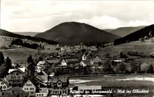 Ak Mitteltal Baiersbronn im Schwarzwald, Aussicht ins Ellbachtal, ländliche Landschaft, Schwarzwa