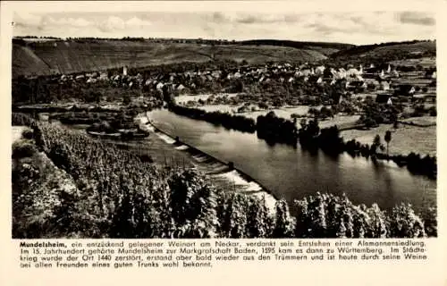 Ak Mundelsheim am Neckar Württemberg,  Weinort am Neckar, umgeben von Weinbergen,  Beschreibung