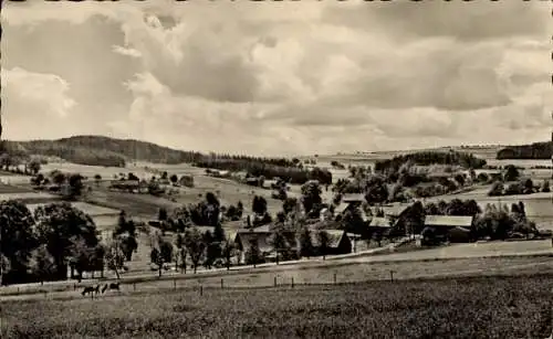 Ak Dorfchemnitz bei Sayda Mittelsachsen, Panorama, Wolfgrund
