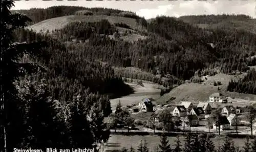 Ak Steinwiesen in Oberfranken, Blick auf das Leitschtal, bewaldete Hügel, kleine Häuser