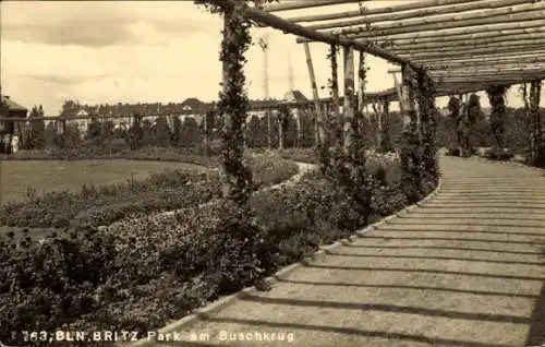 Ak Berlin Neukölln, Park am Buschkrug, Pflanzenüberwachsene Pergola