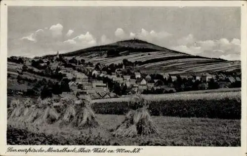 Ak Meuselbach in Thüringen, Gesamtansicht