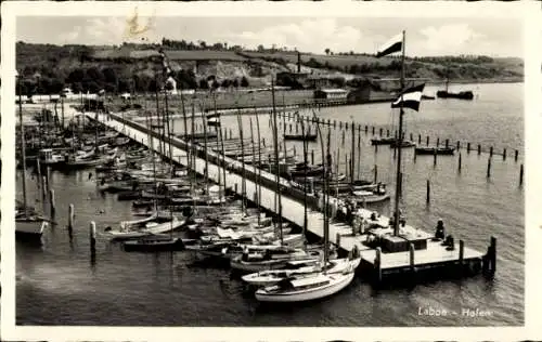 Ak Ostseebad Laboe, Hafen mit vielen Segelbooten