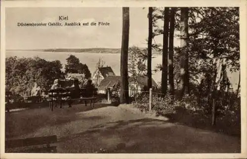 Ak Düsternbrook Kiel, Ausblick auf die Förde, Düsternbrooker Gehölz, Menschen auf Bank