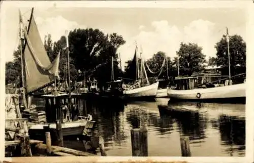 Ak Ostseebad Warnemünde Rostock, Schiffsansicht, Hafen mit mehreren Booten, Wasserreflexion, Bäum