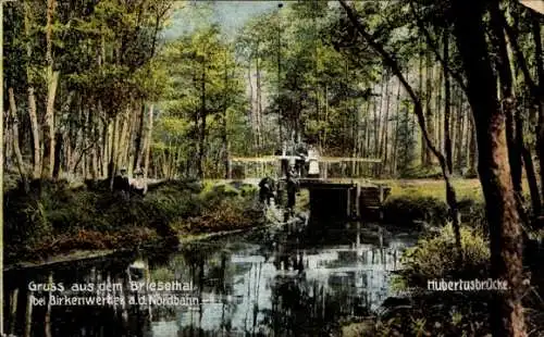 Ak Briese Birkenwerder im Kreis Oberhavel,  Hubertusbrücke, Naturansicht, Flussansicht