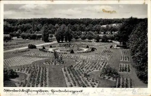 Ak Ostseebad Kühlungsborn, Hindenburgpark
