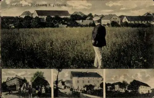 Ak Zischkowitz Göda in der Oberlausitz, Gesamtansicht, Teilansichten