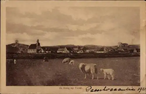 Ak De Koog Texel Nordholland Niederlande, Schafe