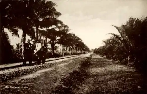 Ak Benguela Angola, Die Benguellabahn fährt durch Oelpalmalleen