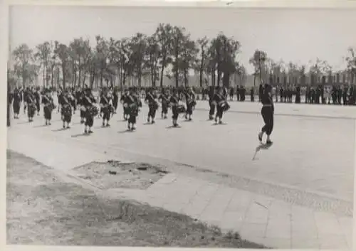 Original Foto Berlin Tiergarten, Ost-West-Allee, Alliiertenparade, um 1945/46, 13 x 17 cm