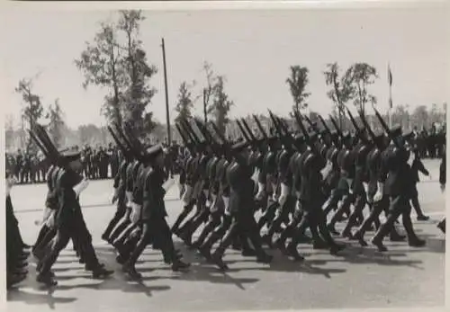Original Foto Berlin Tiergarten, Ost-West-Allee, Alliiertenparade, um 1945/46, 13 x 17 cm
