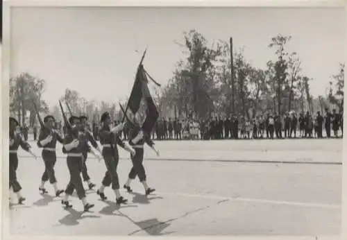 Original Foto Berlin Tiergarten, Ost-West-Allee,  Alliiertenparade, um 1945/46, 13 x 17 cm