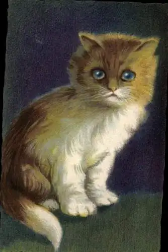 Ak Junge Katze, Kätzchen, Tierporträt