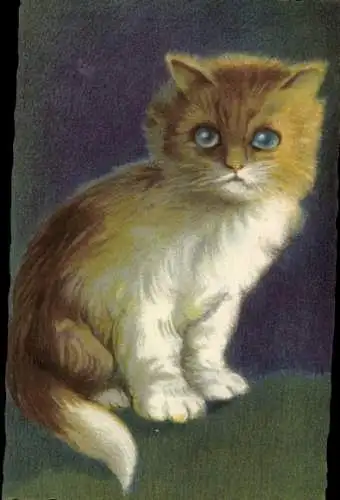 Ak Junge Katze, Kätzchen, Tierporträt