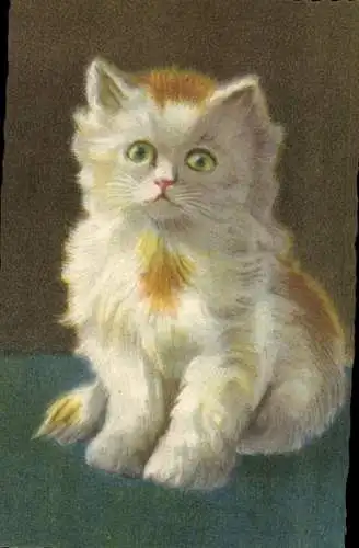 Ak Junge Katze, Kätzchen, Tierporträt
