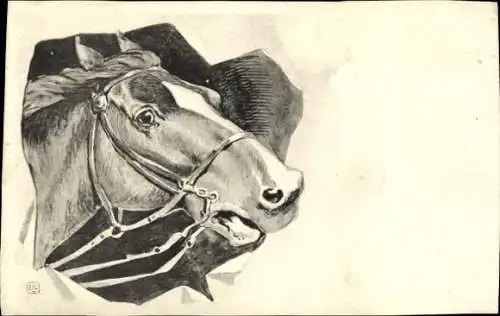 Künstler Ak Pferd, Pferdekopf
