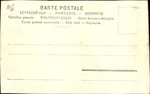 Künstler Ak Pferd, Pferdekopf